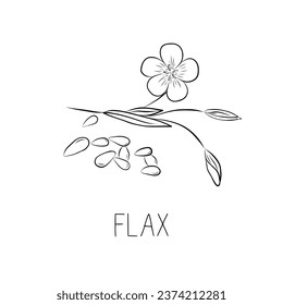 Sketch Flax Simple Vector Illustration in Doodle Style