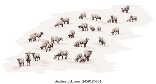 A sketch of a flock of sheep grazing in a meadow, vector illustration