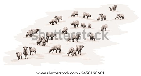 A sketch of a flock of sheep grazing in a meadow, vector illustration