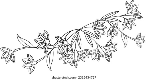 Sketch Floral Botany Collection. Black and white with line art on white backgrounds. Hand Drawn Botanical Illustrations.Vector.	