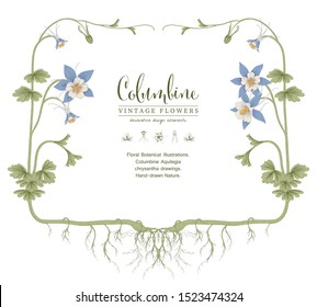 Sketch Floral Botany Collection. 
 Columbine flower (Aquilegia chrysantha) drawings. Invitation card template. Hand Drawn Botanical Illustrations. Nature Vector.