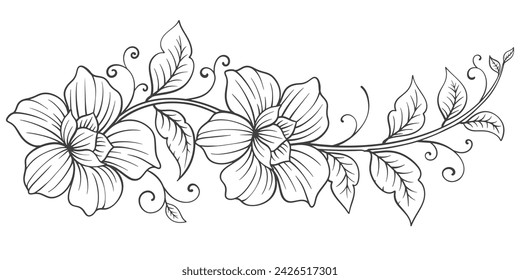 Skizze Floral Botany Collection. Blumenzeichnungen. Schwarz-Weiß mit Liniengrafik auf weißem Hintergrund. In: Hand Drawn Botanical Illustrations.Vector.