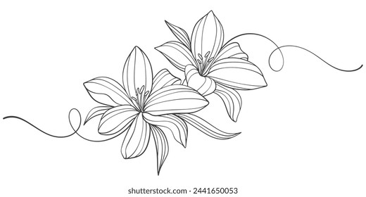 Boceto Floral Botany Colección. Dibujos de flores. Blanco y negro con líneas de arte sobre fondos blancos. Ilustraciones botánicas dibujadas a mano.Vector.