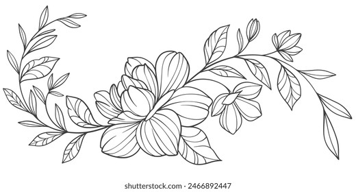 Sketch Floral Botany Collection. flower drawings. Black and white with line art on white backgrounds. Hand Drawn Botanical Illustrations.Vector.