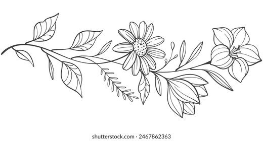 Skizze der floralen Botanik-Kollektion. Schwarz-Weiß mit Liniengrafik auf weißem Hintergrund. Handgezeichnete botanische Illustrationen.Vektorgrafik.