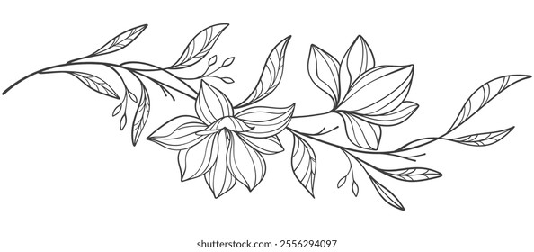 Sketch Floral Botany Collection. flower drawings. Black and white with line art on white backgrounds. Hand Drawn Botanical Illustrations.Vector.