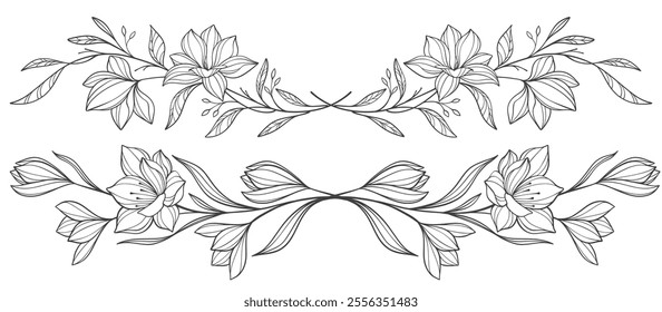 Sketch Floral Botany Collection. flower drawings. Black and white with line art on white backgrounds. Hand Drawn Botanical Illustrations.Vector eps