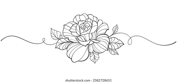 Sketch Floral Botany Collection. flower drawings. Black and white with line art on transparent backgrounds. Hand Drawn Botanical Illustrations.Vector.