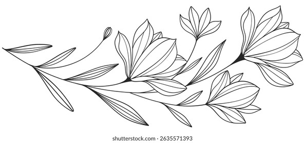 Esboço Floral Botany Collection. desenhos de flores. Preto e branco com arte de linha em fundos brancos. Ilustrações Botânicas Desenhadas À Mão.Vetor