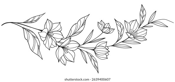 Sketch Floral Botany Collection. flower drawings. Black and white with line art on white backgrounds. Hand Drawn Botanical Illustrations.Vector.