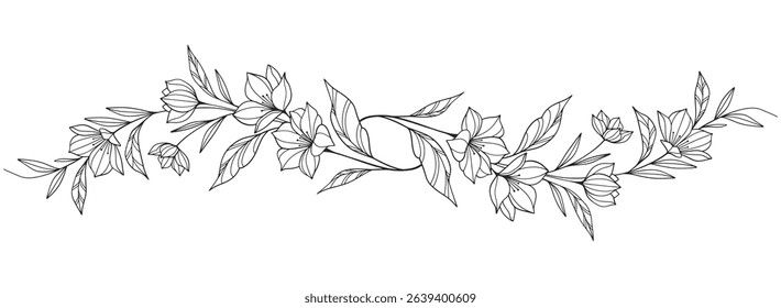 Sketch Floral Botany Collection. flower drawings. Black and white with line art on white backgrounds. Hand Drawn Botanical Illustrations.Vector.