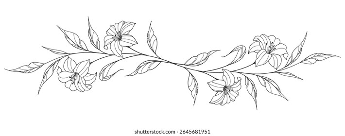 Esboço Floral Botany Collection. desenhos de flores. Preto e branco com arte de linha em fundos brancos. Illustrations.Vetor Botânico Desenhado À Mão.