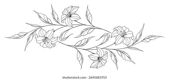 Esboço Floral Botany Collection. desenhos de flores. Preto e branco com arte de linha em fundos brancos. Illustrations.Vetor Botânico Desenhado À Mão.