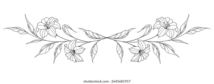 Esboço Floral Botany Collection. desenhos de flores. Preto e branco com arte de linha em fundos brancos. Illustrations.Vetor Botânico Desenhado À Mão.