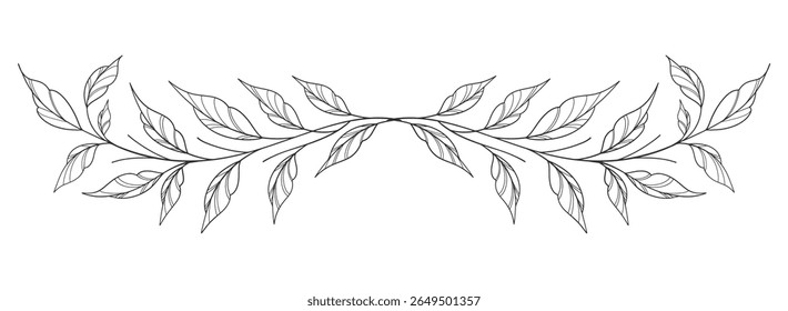 Esboço Floral Botany Collection. desenhos de flores. Preto e branco com arte de linha em fundos brancos. Ilustrações Botânicas Desenhadas À Mão. Eps vetorial