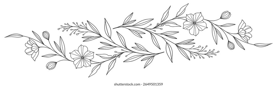 Esboço Floral Botany Collection. desenhos de flores. Preto e branco com arte de linha em fundos brancos. Ilustrações Botânicas Desenhadas À Mão. Eps vetorial