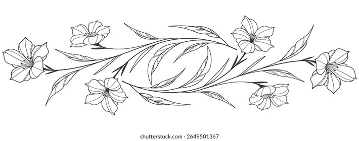 Esboço Floral Botany Collection. desenhos de flores. Preto e branco com arte de linha em fundos brancos. Ilustrações Botânicas Desenhadas À Mão. Eps vetorial