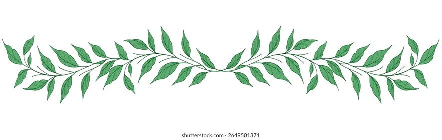 Esboço Floral Botany Collection. desenhos de flores. Preto e branco com arte de linha em fundos brancos. Ilustrações Botânicas Desenhadas À Mão. Eps vetorial