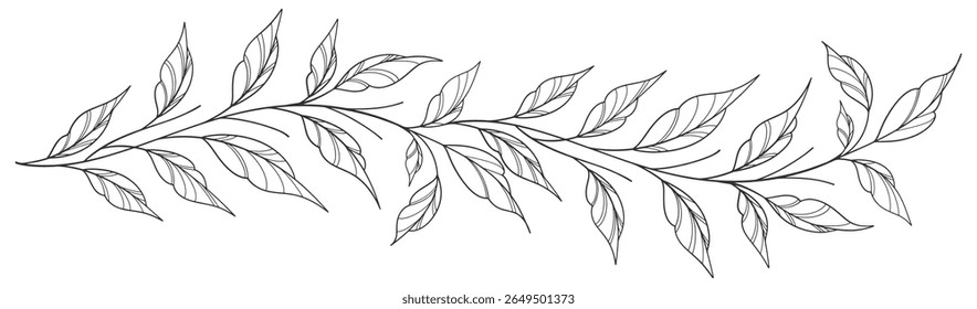 Esboço Floral Botany Collection. desenhos de flores. Preto e branco com arte de linha em fundos brancos. Ilustrações Botânicas Desenhadas À Mão. Eps vetorial