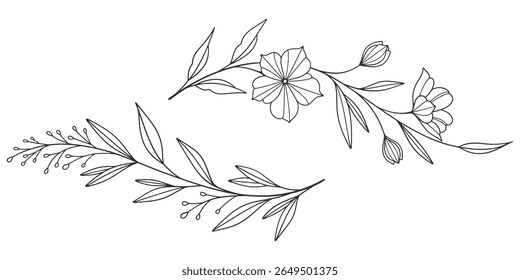 Esboço Floral Botany Collection. desenhos de flores. Preto e branco com arte de linha em fundos brancos. Ilustrações Botânicas Desenhadas À Mão. Eps vetorial
