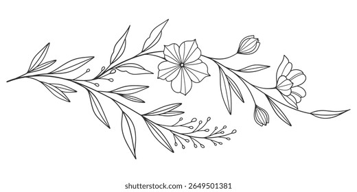 Esboço Floral Botany Collection. desenhos de flores. Preto e branco com arte de linha em fundos brancos. Ilustrações Botânicas Desenhadas À Mão. Eps vetorial