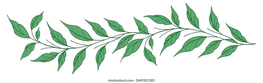 Esboço Floral Botany Collection. desenhos de flores. Preto e branco com arte de linha em fundos brancos. Ilustrações Botânicas Desenhadas À Mão. Eps vetorial