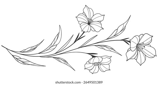 Esboço Floral Botany Collection. desenhos de flores. Preto e branco com arte de linha em fundos brancos. Ilustrações Botânicas Desenhadas À Mão. Eps vetorial