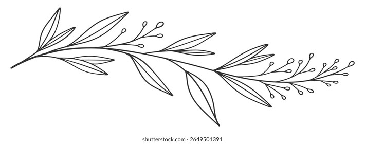 Esboço Floral Botany Collection. desenhos de flores. Preto e branco com arte de linha em fundos brancos. Ilustrações Botânicas Desenhadas À Mão. Eps vetorial