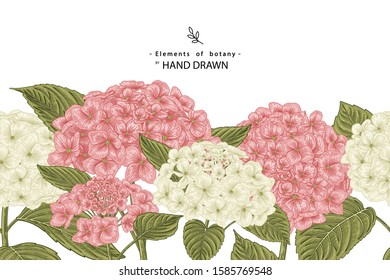 Sketch Floral Botany Collection. Hydrangea flower drawings. Realistic line art on white backgrounds. Hand Drawn Botanical Illustrations. Nature Vector.