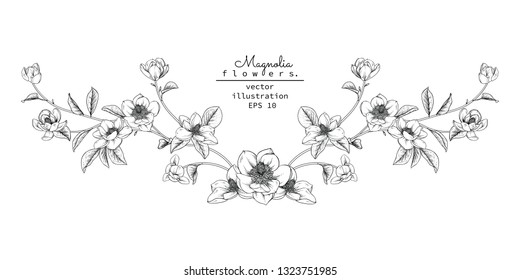 Sketch Floral Botany Collection. Magnolia flower drawings. Black and white with line art on white backgrounds. Hand Drawn Botanical Illustrations.Vector.