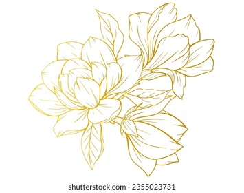 Sketch Floral Botany Collection. Magnolia flower drawings. Gold line art. Hand Drawn Botanical Illustrations outline. gold Vintage flower vector drawing. wedding invitation, card, frame, romantic.