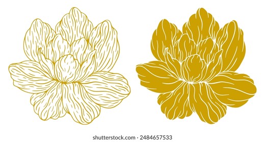 Sketch Floral Botany Collection. Magnolia flower drawings. Gold line art. Hand Drawn Botanical Illustrations outline. gold Vintage flower vector drawing. wedding invitation, card, frame, romantic.  