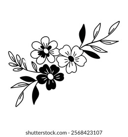 Sketch Floral Botany Collection. Magnolia flower drawings. Black and white with line art on white backgrounds. Hand Drawn Botanical Illustrations.