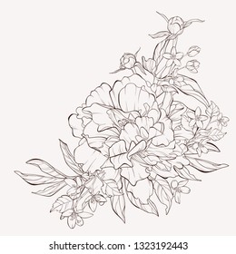 Sketch Floral Botany Collection. Vector peony flower isolated on white background. Element for design. Hand-drawn contour lines and strokes.  Hand Drawn Botanical Illustrations.