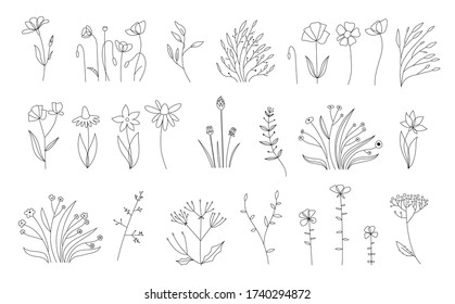 Sketch Floral Botany Collection.Wedding flowers blossoming. Outline vector set of different flowers. Black and white with line art on white backgrounds. Hand Drawn Illustrations. Vector. Vintage style