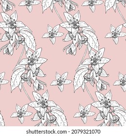 Sketch Floral Botany Pattern. Deutzia flower drawings. Black and white with line art on light pink background. Vector Hand Drawn Botanical Illustrations. Ideal for home textile.