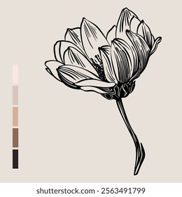 Sketch Floral Botany set. Flower drawings. Black line art on color backgrounds. Hand Drawn Botanical Illustrations. Vector.