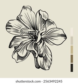 Sketch Floral Botany set. Flower drawings. Black line art on color backgrounds. Hand Drawn Botanical Illustrations. Vector.