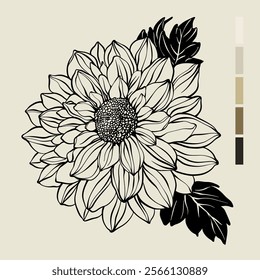 Sketch Floral Botany set. Flower drawings. Black line art on color backgrounds. Hand Drawn Botanical Illustrations. Vector.