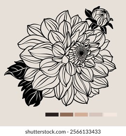 Sketch Floral Botany set. Flower drawings. Black line art on color backgrounds. Hand Drawn Botanical Illustrations. Vector.