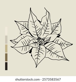 Sketch Floral Botany set. Nature drawings. Black line art on color backgrounds. Hand Drawn Botanical Illustrations. Vector.