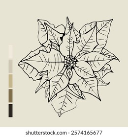 Sketch Floral Botany set. Nature drawings. Black line art on color backgrounds. Hand Drawn Botanical Illustrations. Vector.