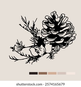 Sketch Floral Botany set. Nature drawings. Black line art on color backgrounds. Hand Drawn Botanical Illustrations. Vector.