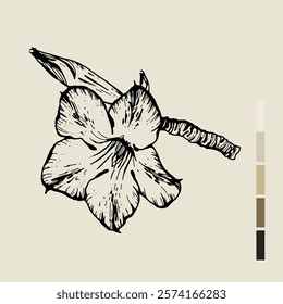 Sketch Floral Botany set. Nature drawings. Black line art on color backgrounds. Hand Drawn Botanical Illustrations. Vector.