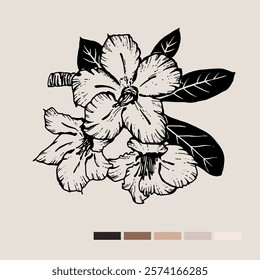 Sketch Floral Botany set. Nature drawings. Black line art on color backgrounds. Hand Drawn Botanical Illustrations. Vector.