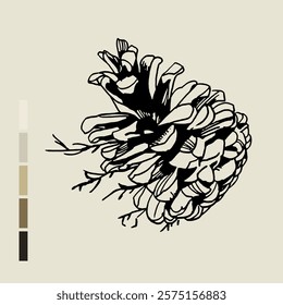 Sketch Floral Botany set. Nature drawings. Black line art on color backgrounds. Hand Drawn Botanical Illustrations. Vector.