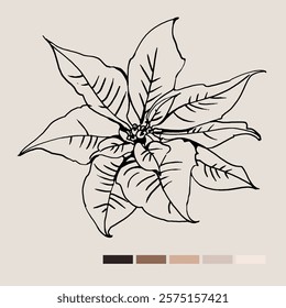 Sketch Floral Botany set. Nature drawings. Black line art on color backgrounds. Hand Drawn Botanical Illustrations. Vector.