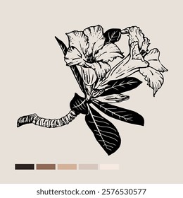 Sketch Floral Botany set. Nature drawings. Black line art on color backgrounds. Hand Drawn Botanical Illustrations. Vector.