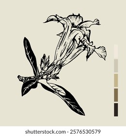 Sketch Floral Botany set. Nature drawings. Black line art on color backgrounds. Hand Drawn Botanical Illustrations. Vector.