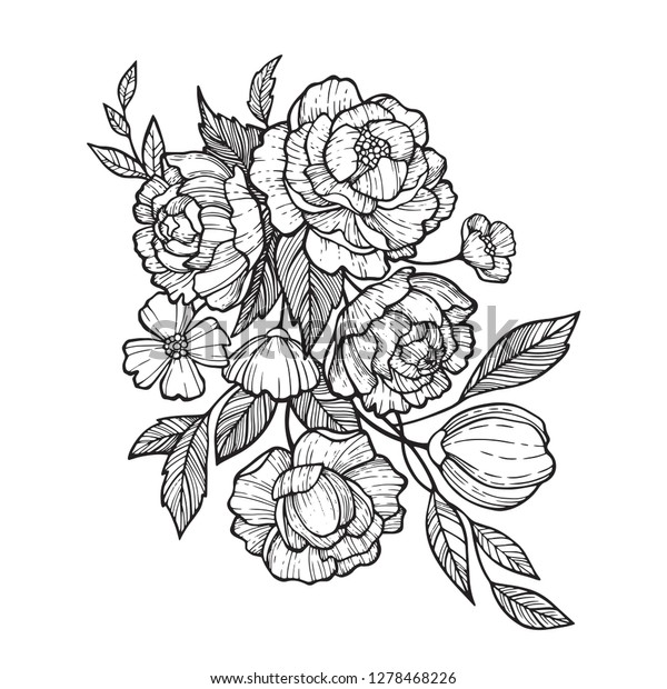 花柄のボタニーセットをスケッチします 牡丹 熱は少ない 椿 水仙 デイジー 葉の絵 白い背景に白黒とラインアート 手描きのイラスト ビンテージスタイル のベクター画像素材 ロイヤリティフリー